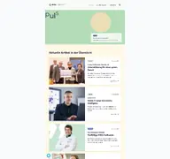 Kleine Seitenvorschau von puls-magazin.de