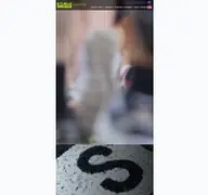 Kleine Seitenvorschau von pulsschlag.de