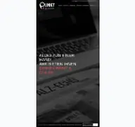 Kleine Seitenvorschau von punkt-agentur.de