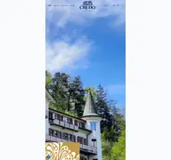 Kleine Seitenvorschau von credo.ch