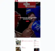 Kleine Seitenvorschau von swissboxing.ch