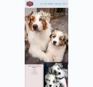Kleine Seitenvorschau von australian-shepherdwelpen.de