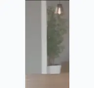 Kleine Seitenvorschau von qno-store.de