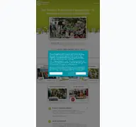 Kleine Seitenvorschau von nebenan-stiftung.de