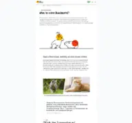 Kleine Seitenvorschau von qualzucht-verhindern.de