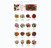 Kleine Seitenvorschau von floramall.ch