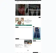 Kleine Seitenvorschau von themomedit.com