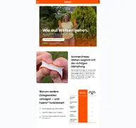 Kleine Seitenvorschau von foamr.de