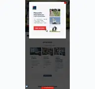 Kleine Seitenvorschau von open9.de