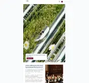 Kleine Seitenvorschau von saarlmusikvereine.de