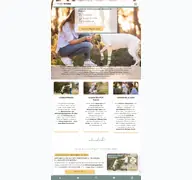 Kleine Seitenvorschau von doggy-fitness.de