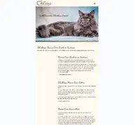 Kleine Seitenvorschau von brubbeysmainecoon.de