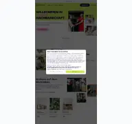 Kleine Seitenvorschau von nebenan.de