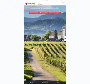 Kleine Seitenvorschau von buggingen.de