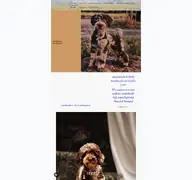 Kleine Seitenvorschau von curly-su-aussiedoodle.de