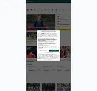 Kleine Seitenvorschau von sport.de