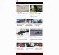 Kleine Seitenvorschau von srf.ch