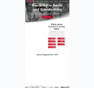 Kleine Seitenvorschau von randori-pro.de