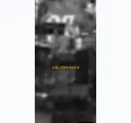 Kleine Seitenvorschau von salsomania.de