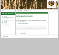 Kleine Seitenvorschau von ratsinfo.bockenem.de