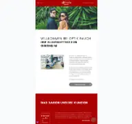 Kleine Seitenvorschau von rauch-optik.de