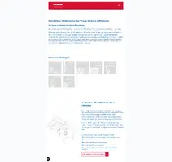 Kleine Seitenvorschau von friess-technik.de