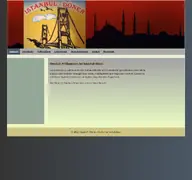 Kleine Seitenvorschau von istanbuldoener.de