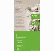 Kleine Seitenvorschau von friseurteam-chicsaal.de