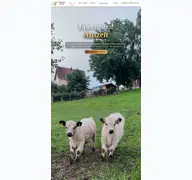 Kleine Seitenvorschau von erlebnishof-auszeit.de
