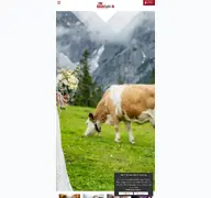 Kleine Seitenvorschau von flashlight-tk.de