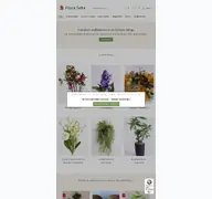 Kleine Seitenvorschau von floraseta.de