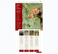 Kleine Seitenvorschau von vuv-vizsla.de