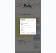 Kleine Seitenvorschau von flow-magazin.de
