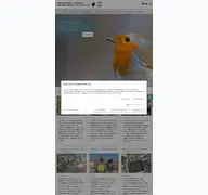 Kleine Seitenvorschau von jagd-reform.de