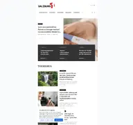 Kleine Seitenvorschau von salzburg1.at