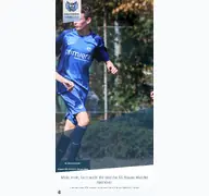 Kleine Seitenvorschau von sg-blaues-wunder.de