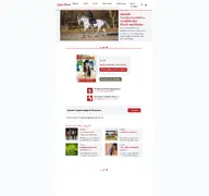 Kleine Seitenvorschau von reiter-und-pferde.de