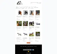 Kleine Seitenvorschau von reitsport-schwemm.de