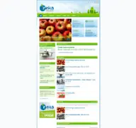 Kleine Seitenvorschau von r-eka.de