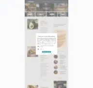 Kleine Seitenvorschau von foodgasm.de
