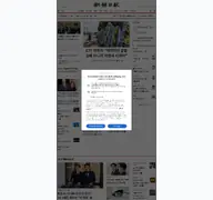Kleine Seitenvorschau von chosun.com