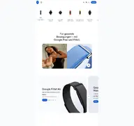 Kleine Seitenvorschau von fitbit.com