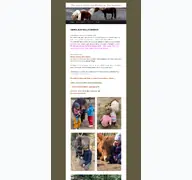 Kleine Seitenvorschau von ponyhofoberwaldhaus.de