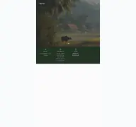 Kleine Seitenvorschau von bamy98.de