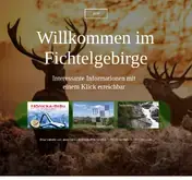 Kleine Seitenvorschau von hoenicka.de