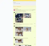 Kleine Seitenvorschau von forum.perrosdecatalunya.de