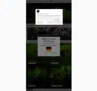 Kleine Seitenvorschau von foxracing.at