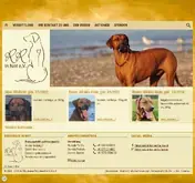 Kleine Seitenvorschau von ridgeback-in-not.de
