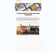 Kleine Seitenvorschau von rid-stiftung.de