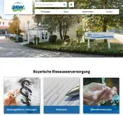 Kleine Seitenvorschau von rieswasser.de